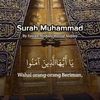 muhammatnur16