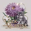 volk.valentina