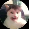 sopademacacox69x
