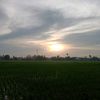 purba_girsang11