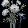 user29102063145776