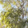 musicwithlyrics27