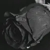 6blacklove