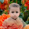 ubaidullah.sazeen