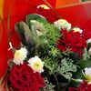aylin_020_0