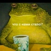 barhatnayi_frog