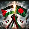 user8401619970779