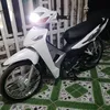 trng.an.nhin7