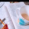 pagal_ss
