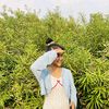 saung.lay39
