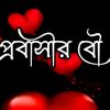 user6199531134581