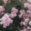 estp_403
