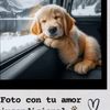 mayraforte7
