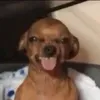 oliwiaiscool