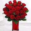 mustafa.murat90