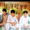 usman.usman6691