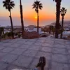 virginiamascareo0
