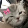 nataiiemamea2