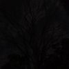 abbys_zzz