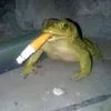 jfebiv