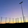 aalfieontop