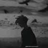 15langzz1