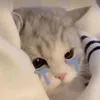 _hthahhzyz_8