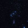 putra.orion