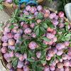 Núi rừng tây bắc
