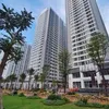 truongphihung28