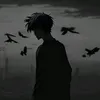 dasun_max08