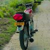 mylovehonda0175