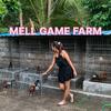 MELL 27 GAME FARM