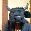 borko1.krys