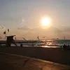 chasing.sunset