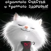 abdulla222337