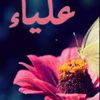 aliaa_il2