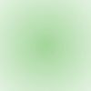 voxteaeae