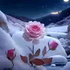 bxjcudj