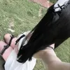 pshicxe