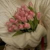user3904517201736