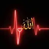 user7241711786321