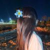mi_1.mirelly