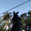 user2218017542593