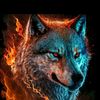 user1107558191414