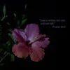 t._ejml