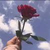 laragabrielly8170
