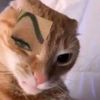 sebas_tian.velasco