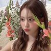 qixie.fxiry