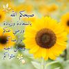 user1083481180101